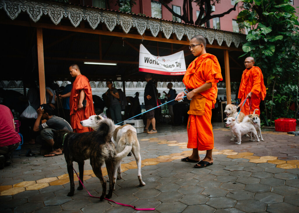 Cambodia NGOs And Non-Profit